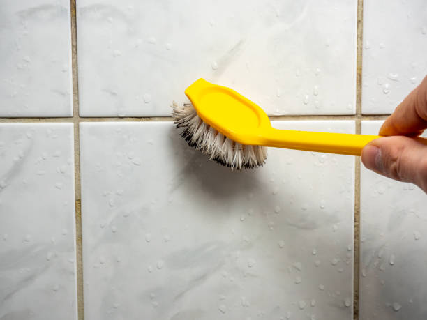 Best Mold Removal Near Me  in Park City, UT