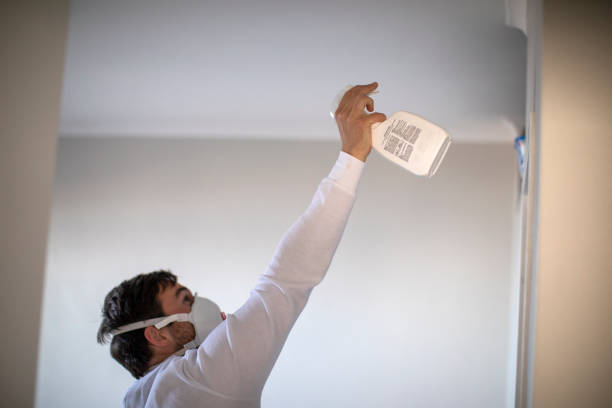 Best Same-Day Mold Removal  in Park City, UT